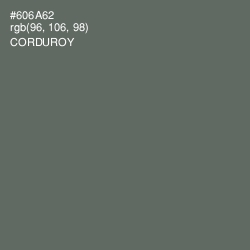 #606A62 - Corduroy Color Image
