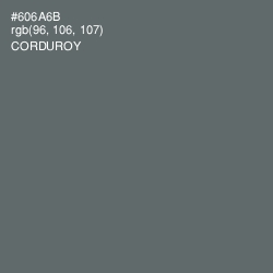 #606A6B - Corduroy Color Image