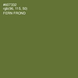 #607332 - Fern Frond Color Image
