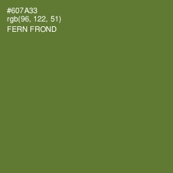 #607A33 - Fern Frond Color Image