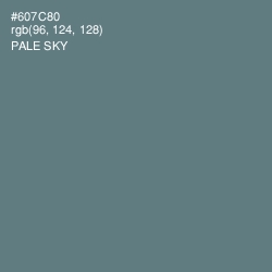 #607C80 - Pale Sky Color Image