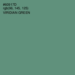 #60917D - Viridian Green Color Image
