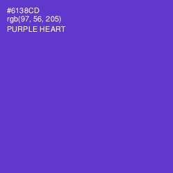 #6138CD - Purple Heart Color Image