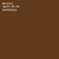 #613A1C - Espresso Color Image