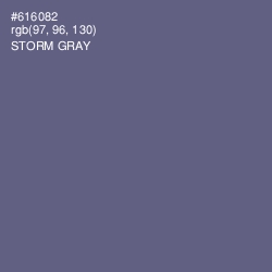 #616082 - Storm Gray Color Image