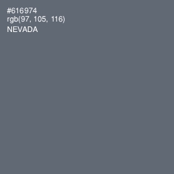 #616974 - Nevada Color Image