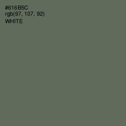 #616B5C - Siam Color Image