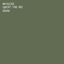 #616C52 - Siam Color Image