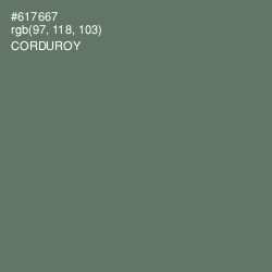 #617667 - Corduroy Color Image