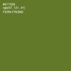#617929 - Fern Frond Color Image