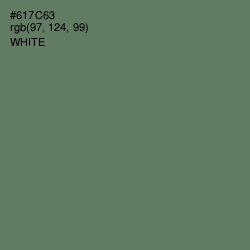 #617C63 - Corduroy Color Image