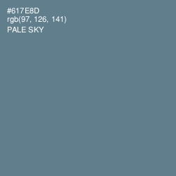 #617E8D - Pale Sky Color Image