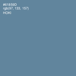 #61859D - Hoki Color Image