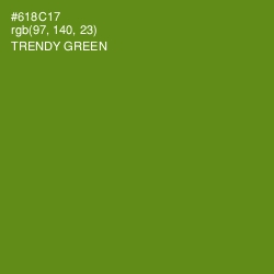 #618C17 - Trendy Green Color Image