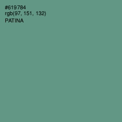 #619784 - Patina Color Image