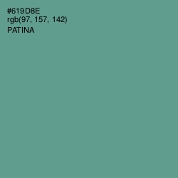 #619D8E - Patina Color Image