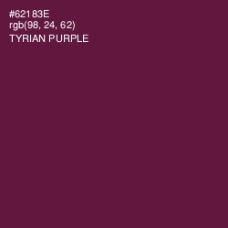 #62183E - Tyrian Purple Color Image