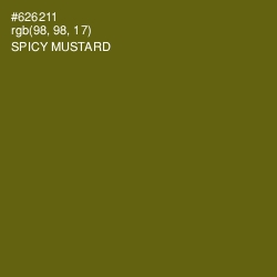 #626211 - Spicy Mustard Color Image