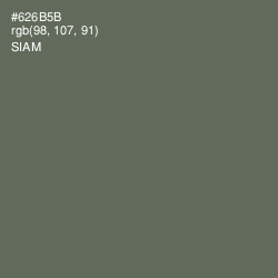 #626B5B - Siam Color Image