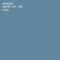 #62869B - Hoki Color Image