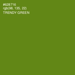 #628716 - Trendy Green Color Image