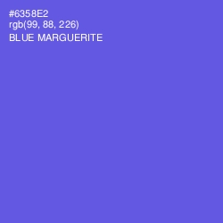 #6358E2 - Blue Marguerite Color Image