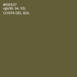 #635E37 - Costa Del Sol Color Image
