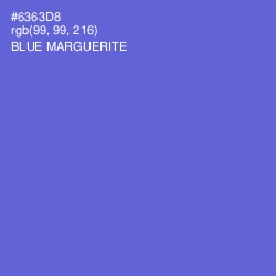 #6363D8 - Blue Marguerite Color Image
