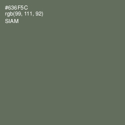 #636F5C - Siam Color Image