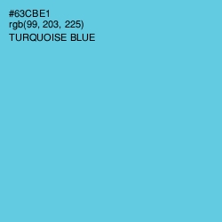 #63CBE1 - Turquoise Blue Color Image