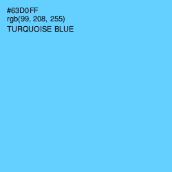 #63D0FF - Turquoise Blue Color Image