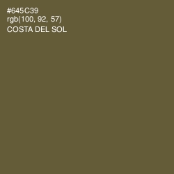#645C39 - Costa Del Sol Color Image