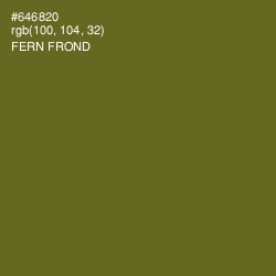 #646820 - Fern Frond Color Image