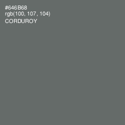 #646B68 - Corduroy Color Image