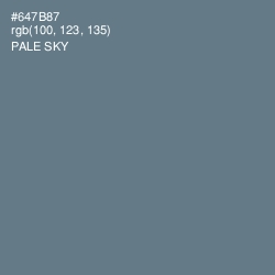 #647B87 - Pale Sky Color Image