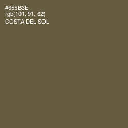 #655B3E - Costa Del Sol Color Image
