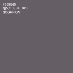 #655E65 - Scorpion Color Image