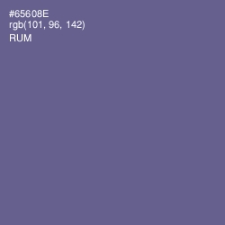 #65608E - Rum Color Image