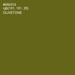 #656519 - Olivetone Color Image