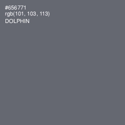 #656771 - Dolphin Color Image