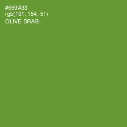 #659A33 - Olive Drab Color Image
