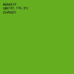 #65AE1F - Christi Color Image