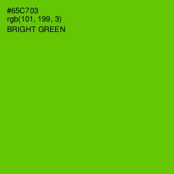 #65C703 - Bright Green Color Image