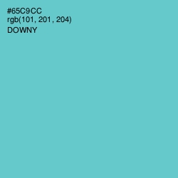 #65C9CC - Downy Color Image