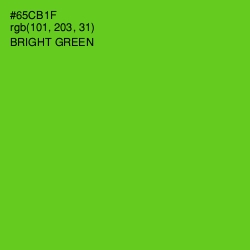 #65CB1F - Bright Green Color Image