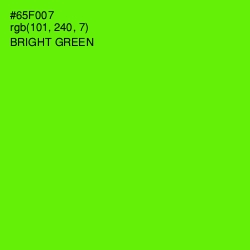 #65F007 - Bright Green Color Image