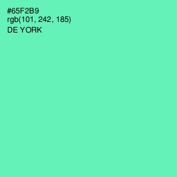 #65F2B9 - De York Color Image