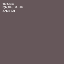 #66585A - Zambezi Color Image