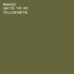 #66663C - Yellow Metal Color Image