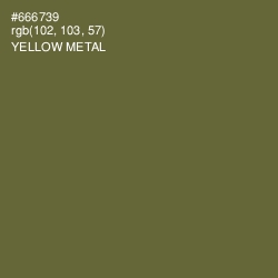 #666739 - Yellow Metal Color Image